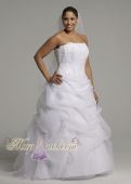 Большое и прекрасное свадебное платье Style 9V9263